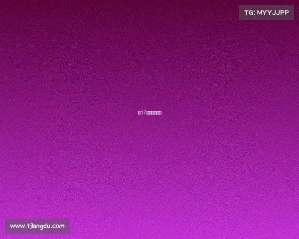 第17届中国新闻奖