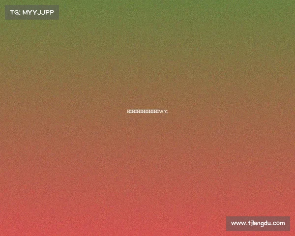 本田车队参加的赛事本田参加wrc